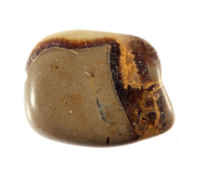 Septarie steen getrommeld 10 - 20 gram