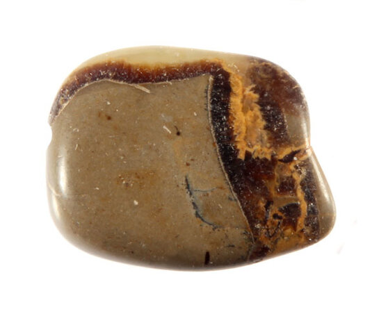 Septarie steen getrommeld 10 - 20 gram