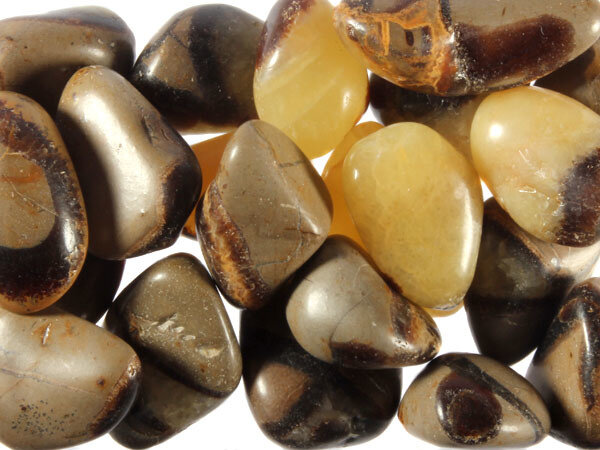 Septarie steen getrommeld 10 - 20 gram