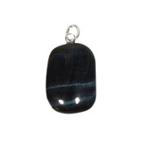 Valkenoog hanger met zilveren oogje Valkenoog hanger met zilveren oogje