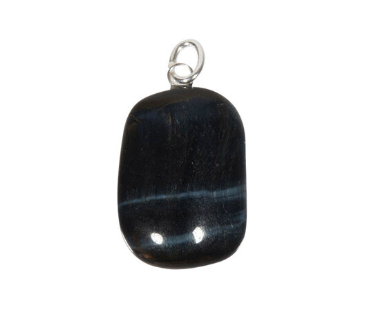 Valkenoog hanger met zilveren oogje Valkenoog hanger met zilveren oogje