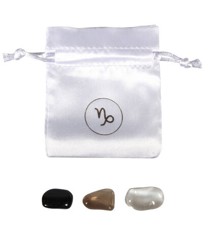 Edelsteen set | sterrenbeeld steenbok