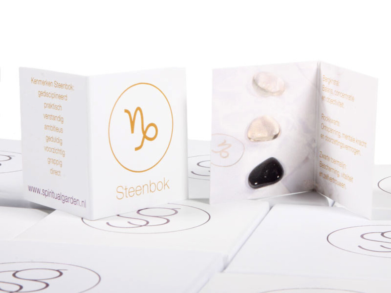 Edelsteen set | sterrenbeeld steenbok