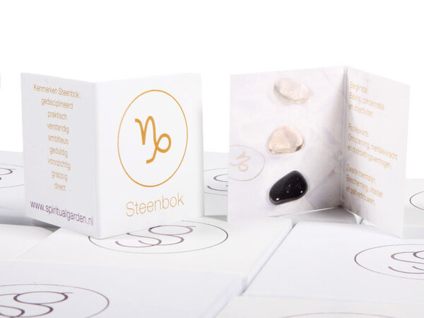 Edelsteen set | sterrenbeeld steenbok