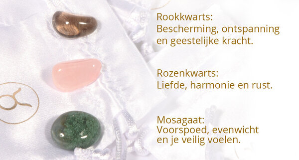 Zilveren ketting tros sterrenbeeld stier