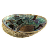 Abalone schelp Abalone schelp