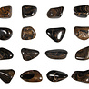 Stromatoliet steen getrommeld | middel (M)