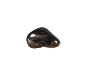 Stromatoliet steen getrommeld 5 - 10 gram Stromatoliet steen getrommeld 5 - 10 gram