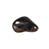 Stromatoliet steen getrommeld | middel (M)