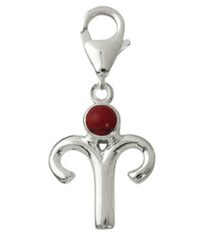 Zilveren bedeltje sterrenbeeld ram met rode jaspis