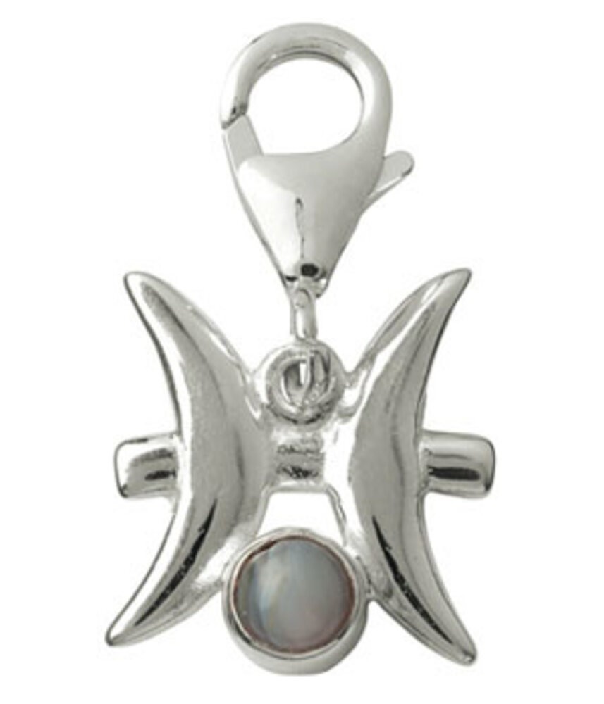 Zilveren bedeltje sterrenbeeld vissen met agaat (Botswana)