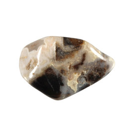 Jaspis (zilverblad) steen getrommeld 5 - 10 gram