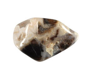 Jaspis (zilverblad) steen getrommeld 5 - 10 gram Jaspis (zilverblad) steen getrommeld 5 - 10 gram