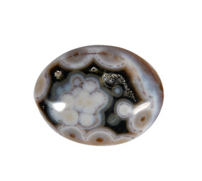 Jaspis (oceaan) steen plat gepolijst