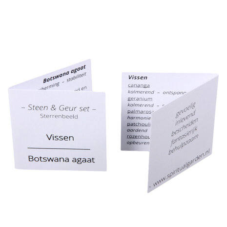 Steen en geur set astro | vissen Steen en geur set astro | vissen