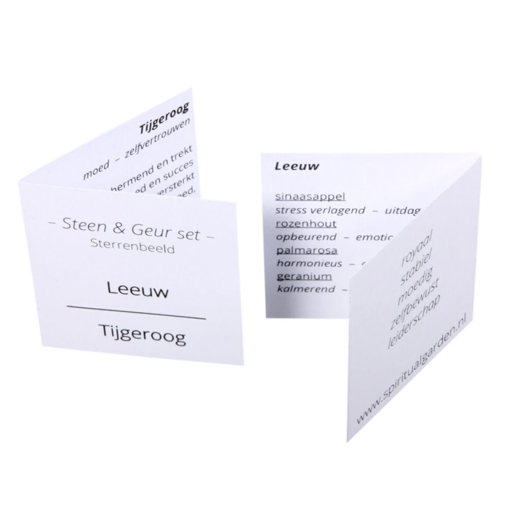 Steen en geur set astro | leeuw Steen en geur set astro | leeuw