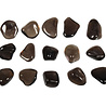 Rookkwarts (Morion) steen getrommeld 5 - 10 gram Rookkwarts (Morion) steen getrommeld 5 - 10 gram