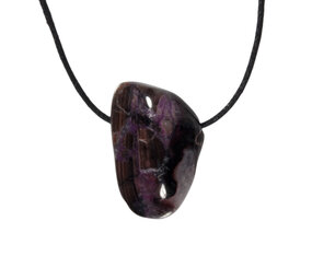 Sugiliet hanger doorboord