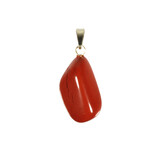 Jaspis (rood) hanger met 14k gouden oogje Jaspis (rood) hanger met 14k gouden oogje