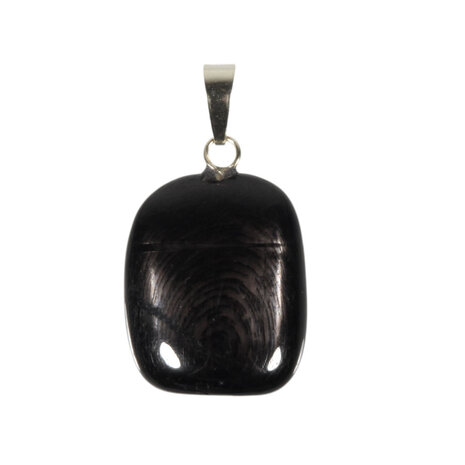 Hyperstheen hanger met 14k gouden oogje Hyperstheen hanger met 14k gouden oogje