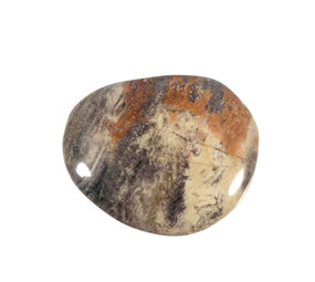 Jaspis (zilverblad) steen plat gepolijst