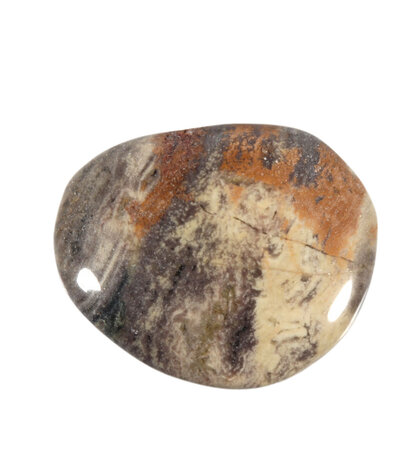 Jaspis (zilverblad) steen plat gepolijst