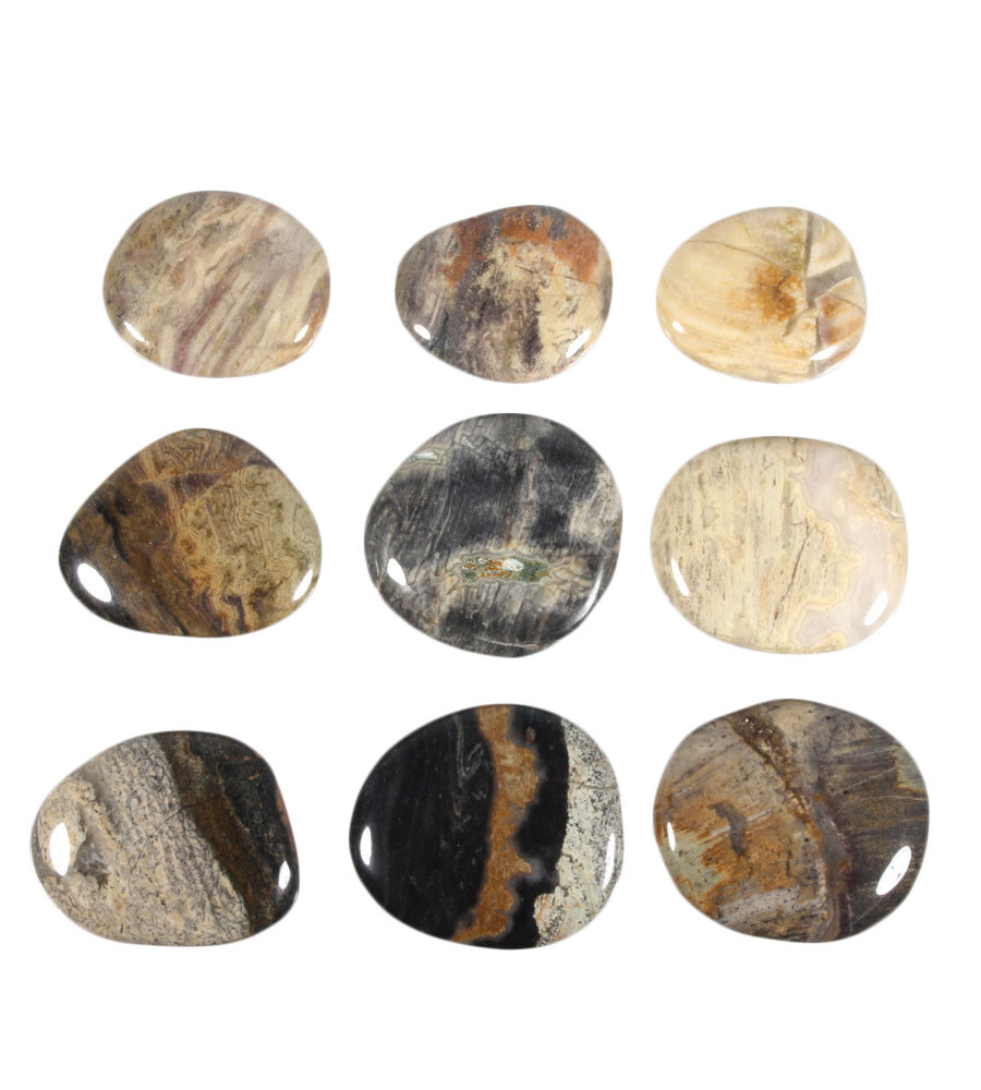 Jaspis (zilverblad) steen plat gepolijst