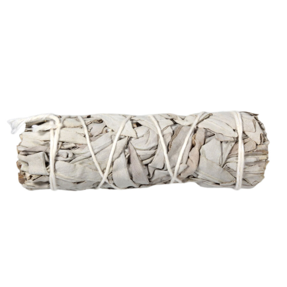 Salie smudge stick 10 cm Salie smudge stick 10 cm