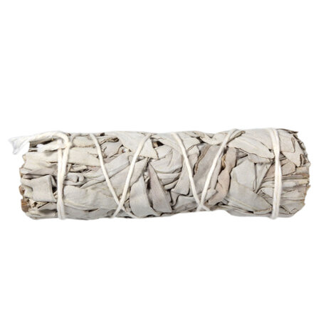 Salie smudge stick 10 cm Salie smudge stick 10 cm