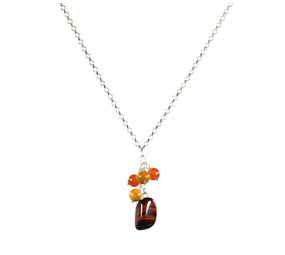 Zilveren ketting tros sterrenbeeld leeuw Zilveren ketting tros sterrenbeeld leeuw