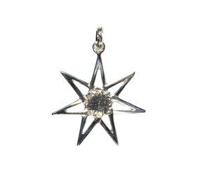 Zilveren hanger goud labradoriet pleiade Zilveren hanger goud labradoriet pleiade