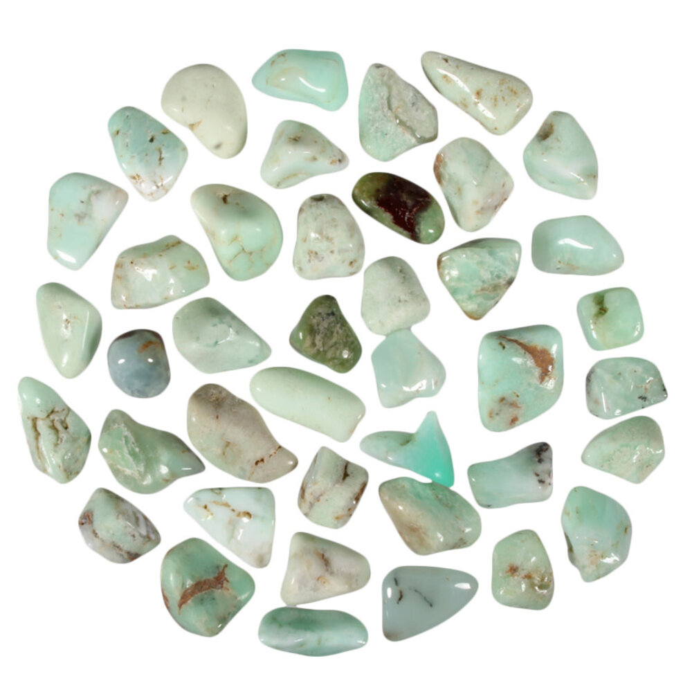 Chrysopraas steen getrommeld 5 - 10 gram Chrysopraas steen getrommeld 5 - 10 gram