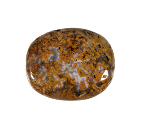 Jaspis (oceaan) steen plat gepolijst klein