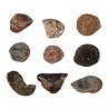 Koraal (versteend) steen getrommeld 5 - 10 gram Koraal (versteend) steen getrommeld 5 - 10 gram