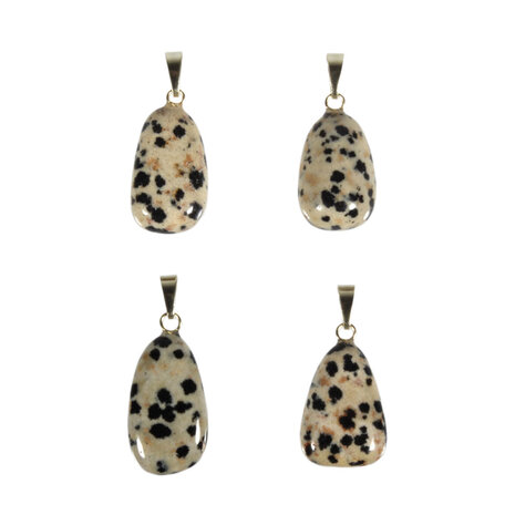 Jaspis (dalmatiër) hanger met 14k gouden oogje Jaspis (dalmatiër) hanger met 14k gouden oogje