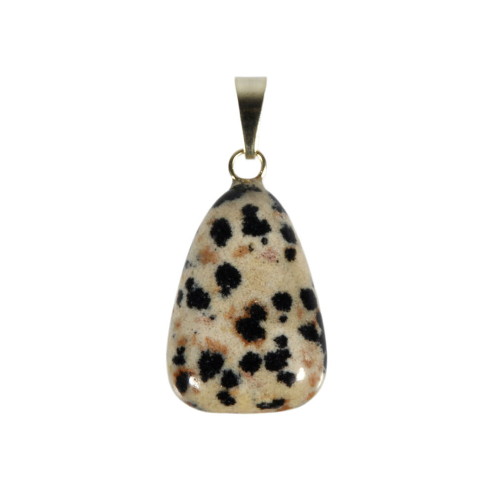 Jaspis (dalmatiër) hanger met 14k gouden oogje Jaspis (dalmatiër) hanger met 14k gouden oogje