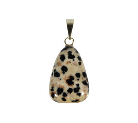 Jaspis (dalmatiër) hanger met 14k gouden oogje Jaspis (dalmatiër) hanger met 14k gouden oogje