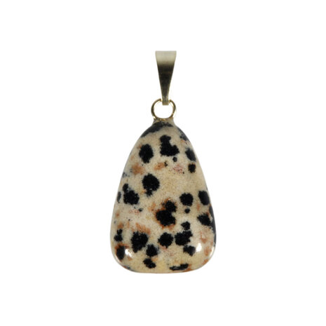 Jaspis (dalmatiër) hanger met 14k gouden oogje Jaspis (dalmatiër) hanger met 14k gouden oogje