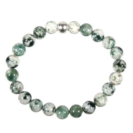 Agaat (boom) armband 18 cm | 8 mm kralen