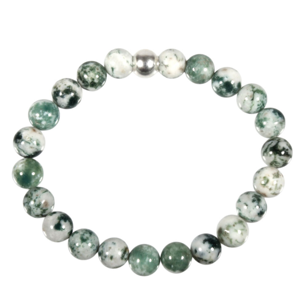 Agaat (boom) armband 20 cm | 8 mm kralen Agaat (boom) armband 20 cm | 8 mm kralen