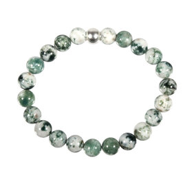 Agaat (boom) armband 20 cm | 8 mm kralen