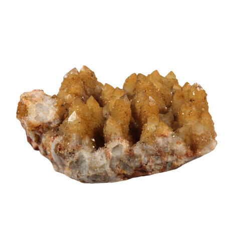 Spiritkwarts of cactuskwarts (geel) cluster 16,5 x 14 x 6 cm | 1415 gram Spiritkwarts of cactuskwarts (geel) cluster 16,5 x 14 x 6 cm | 1415 gram