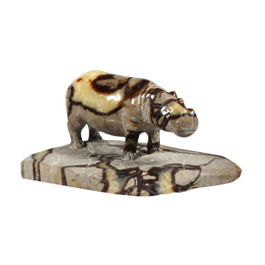 Septarie nijlpaard half-gepolijst 11 x 8 x 7 cm | 453 gram