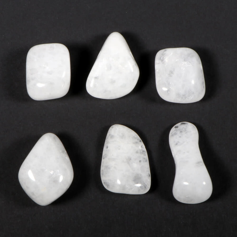 Sneeuwkwarts hanger doorboord Sneeuwkwarts hanger doorboord