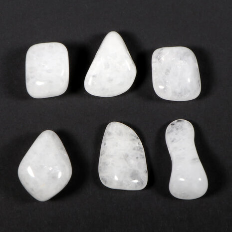 Sneeuwkwarts hanger doorboord Sneeuwkwarts hanger doorboord