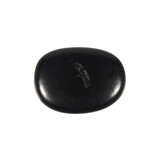 Shungiet steen plat gepolijst klein