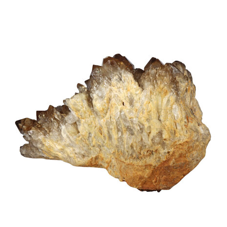 Citrien cluster 32 x 20 x 19 cm | 11910 gram