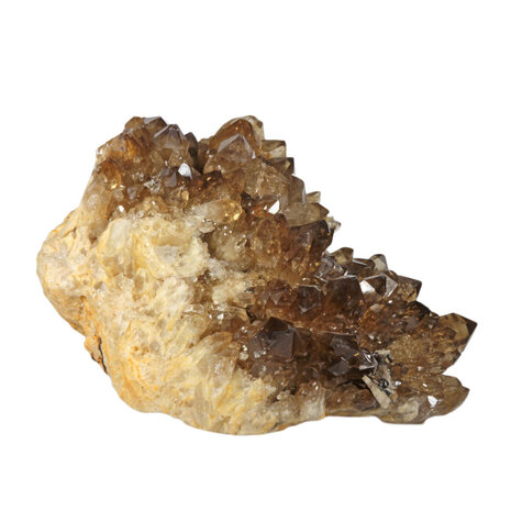 Citrien cluster 32 x 20 x 19 cm | 11910 gram