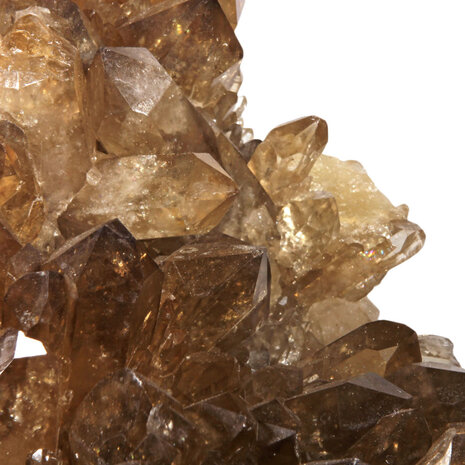 Citrien cluster 32 x 20 x 19 cm | 11910 gram