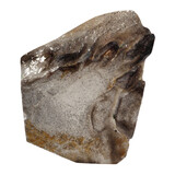 Protector alligatorkwarts met rutiel sculptuur | 1014 gram